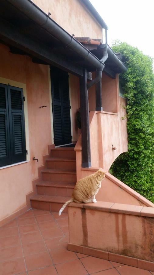 Pin De Stelle Bed and Breakfast San Martino  Εξωτερικό φωτογραφία
